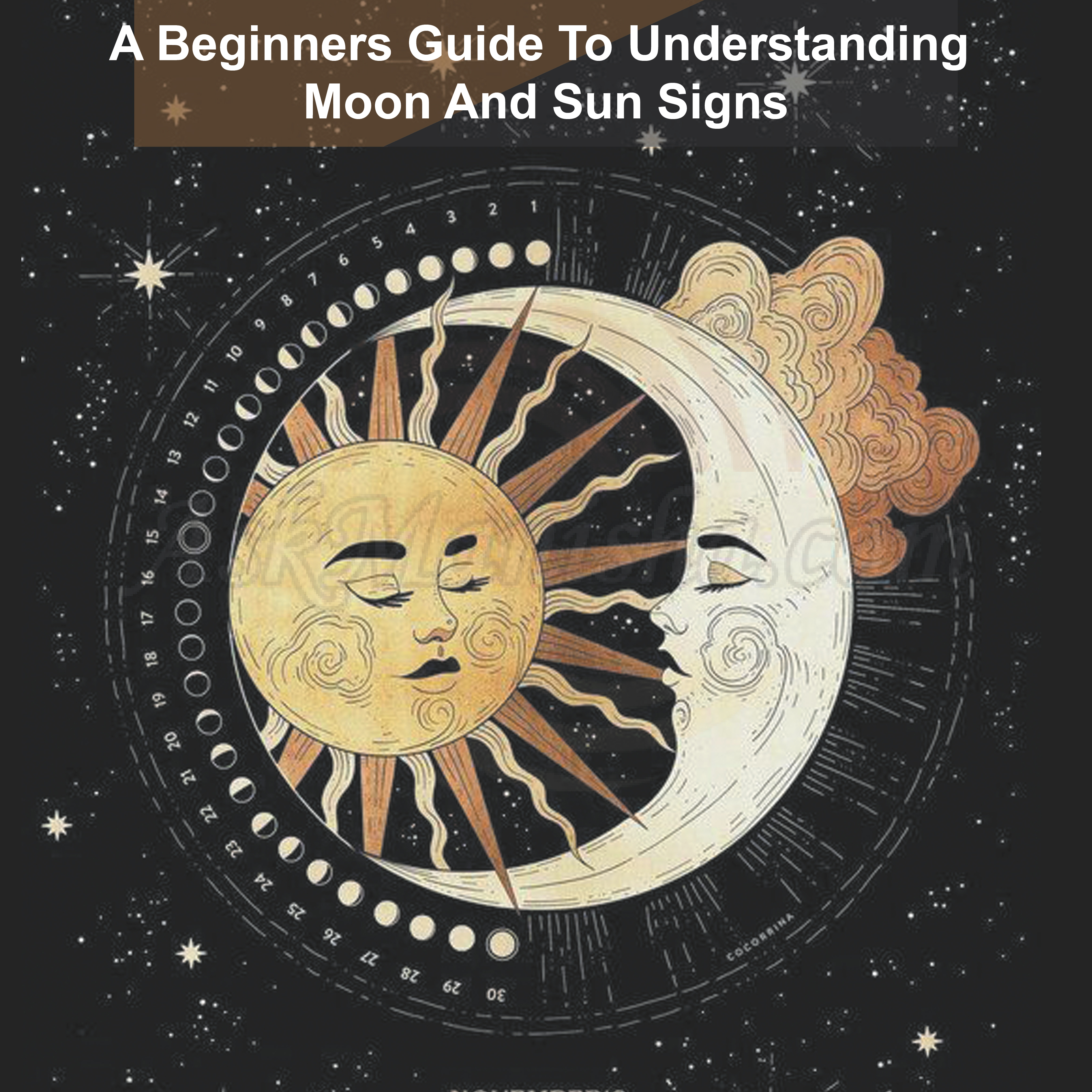 A Beginners Guide To Understanding Moon And Sun Signs